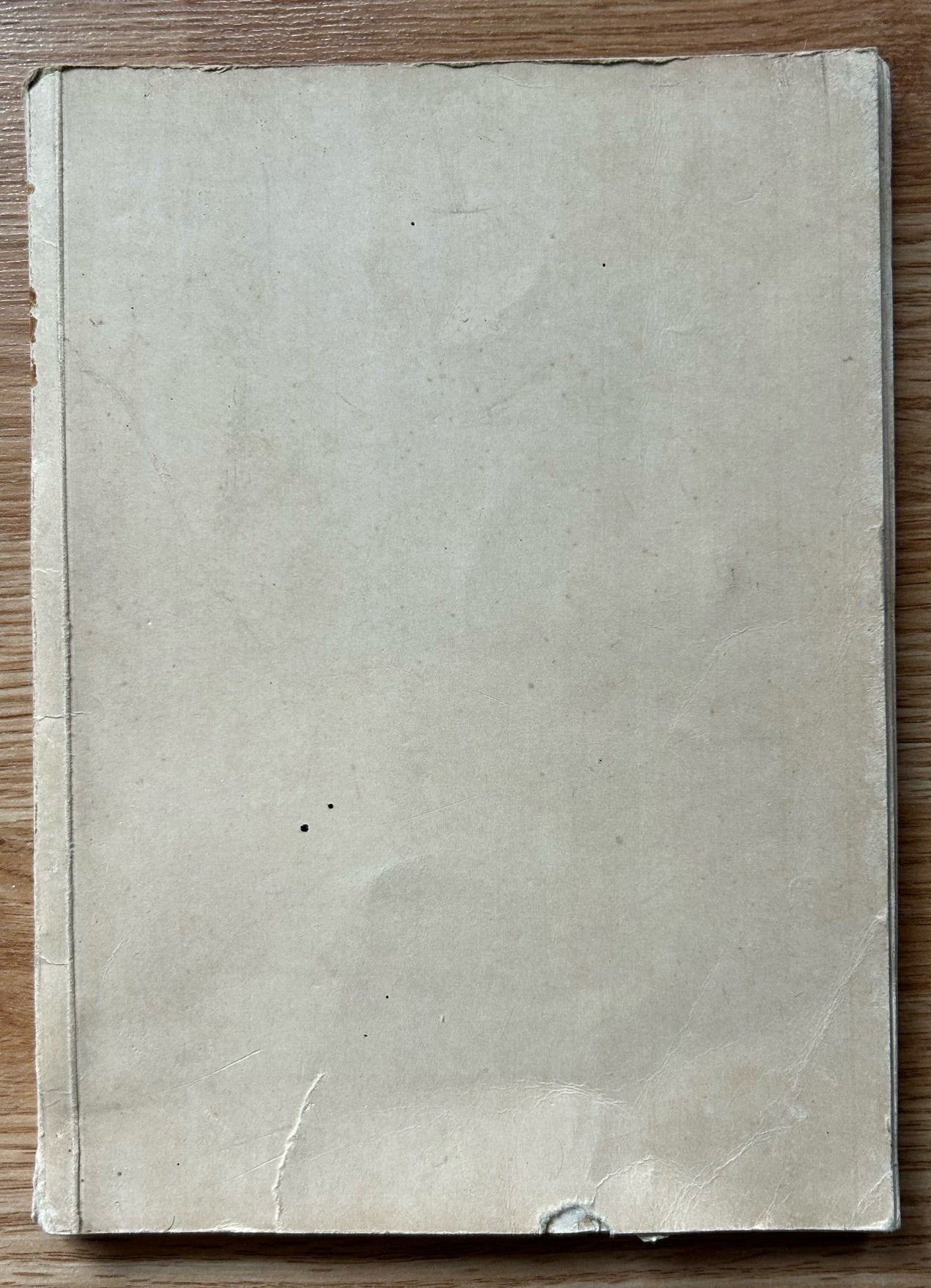 Hitler wie ihn keiner kennt book - 1932 softcover edition