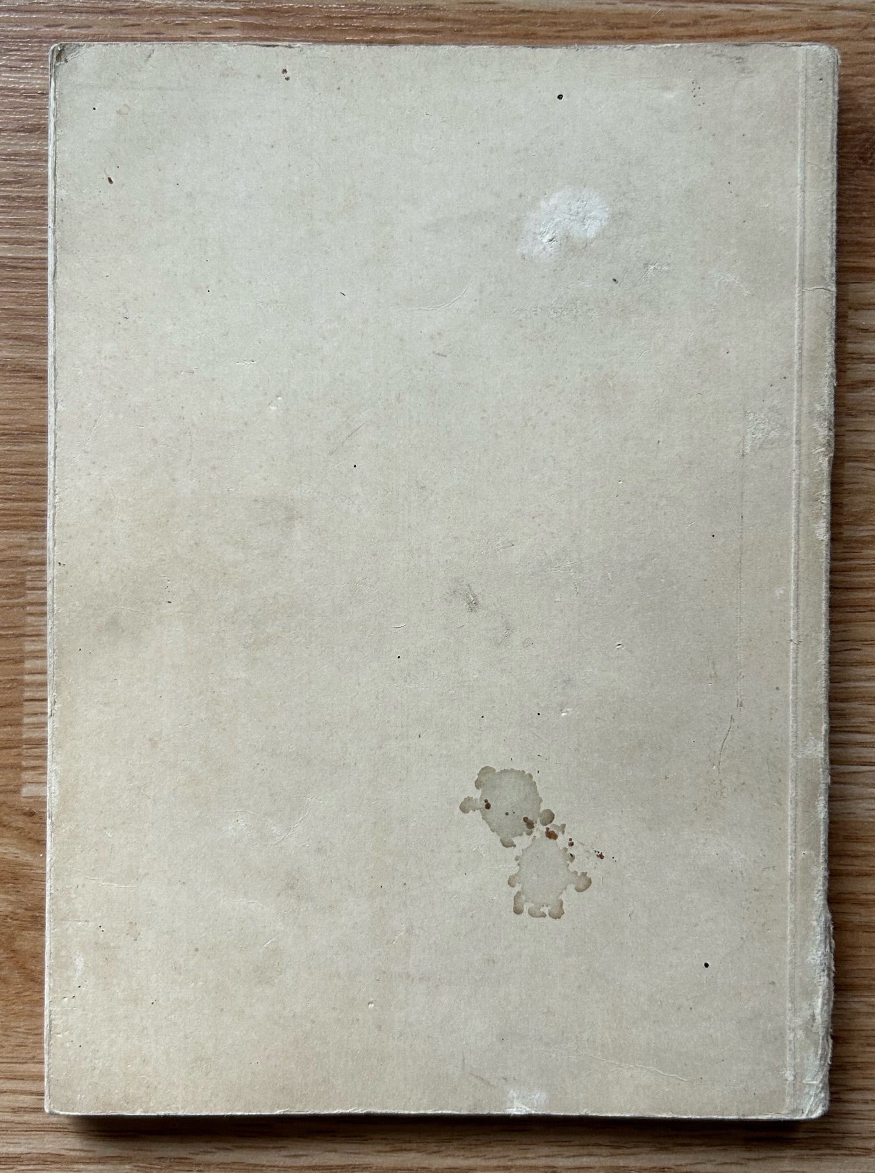 Hitler wie ihn keiner kennt book - 1932 softcover edition