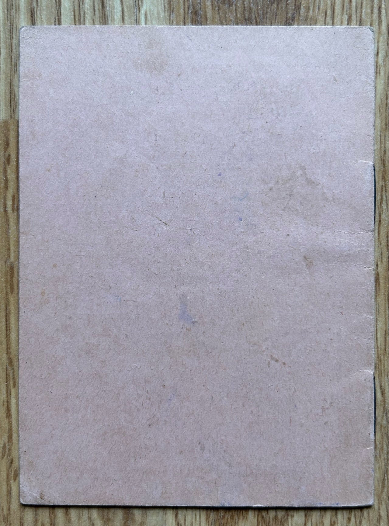 Schiessbuch / Target practice booklet - RAD member, occupied Czechia