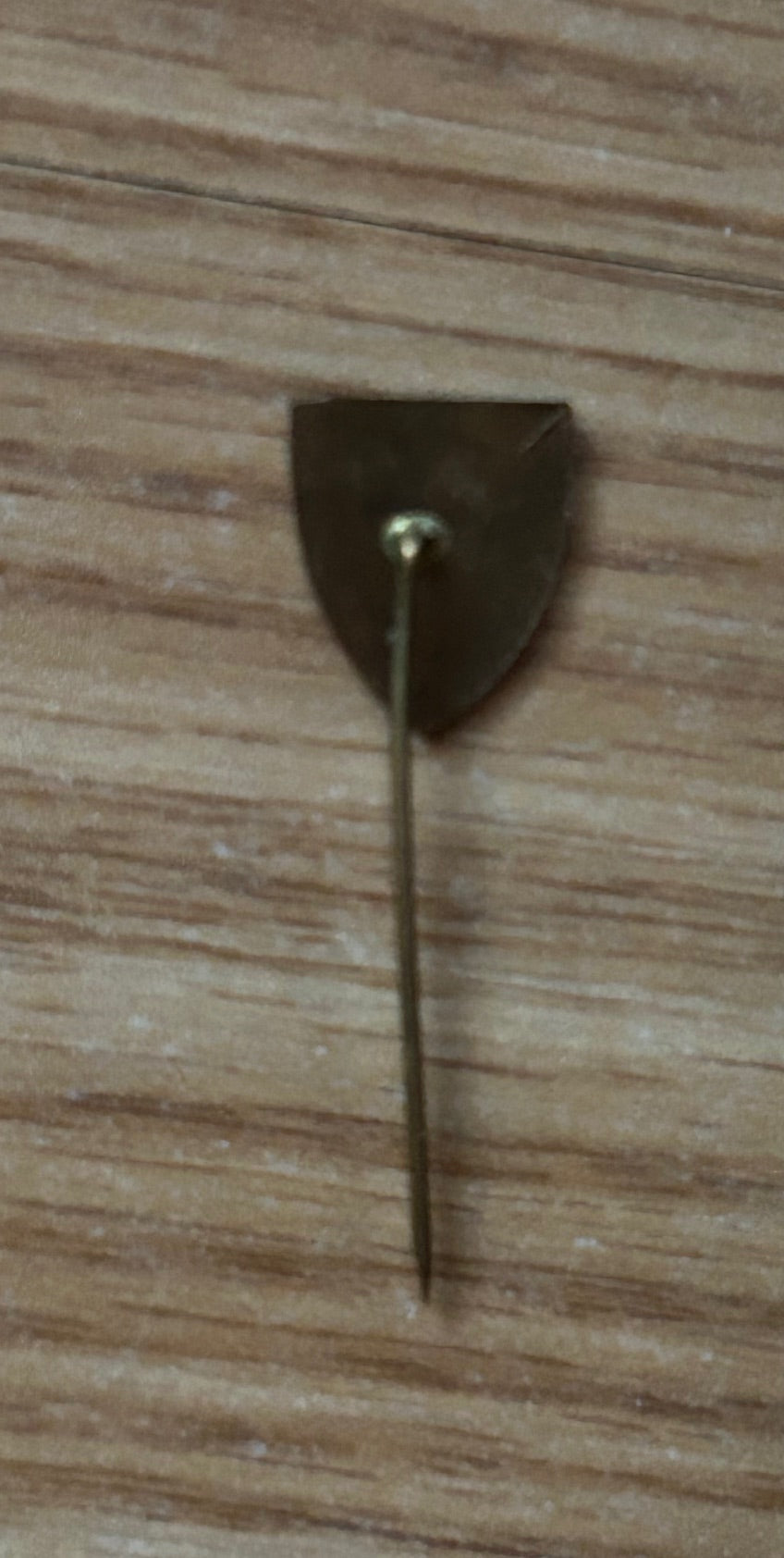 Collaborationist Czechoslovak NS membership lapel pin