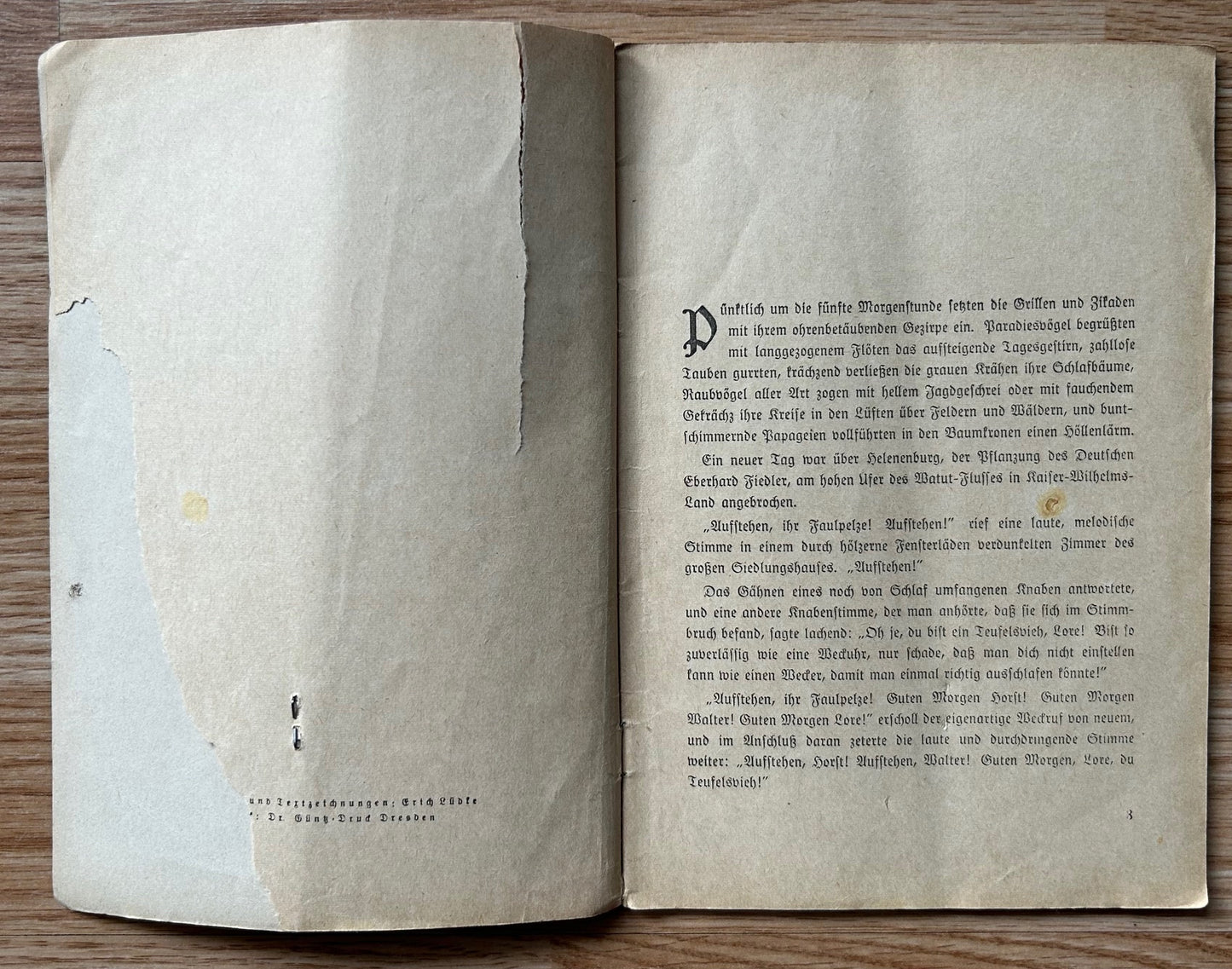 German youth book - Gold in Neu Guinea