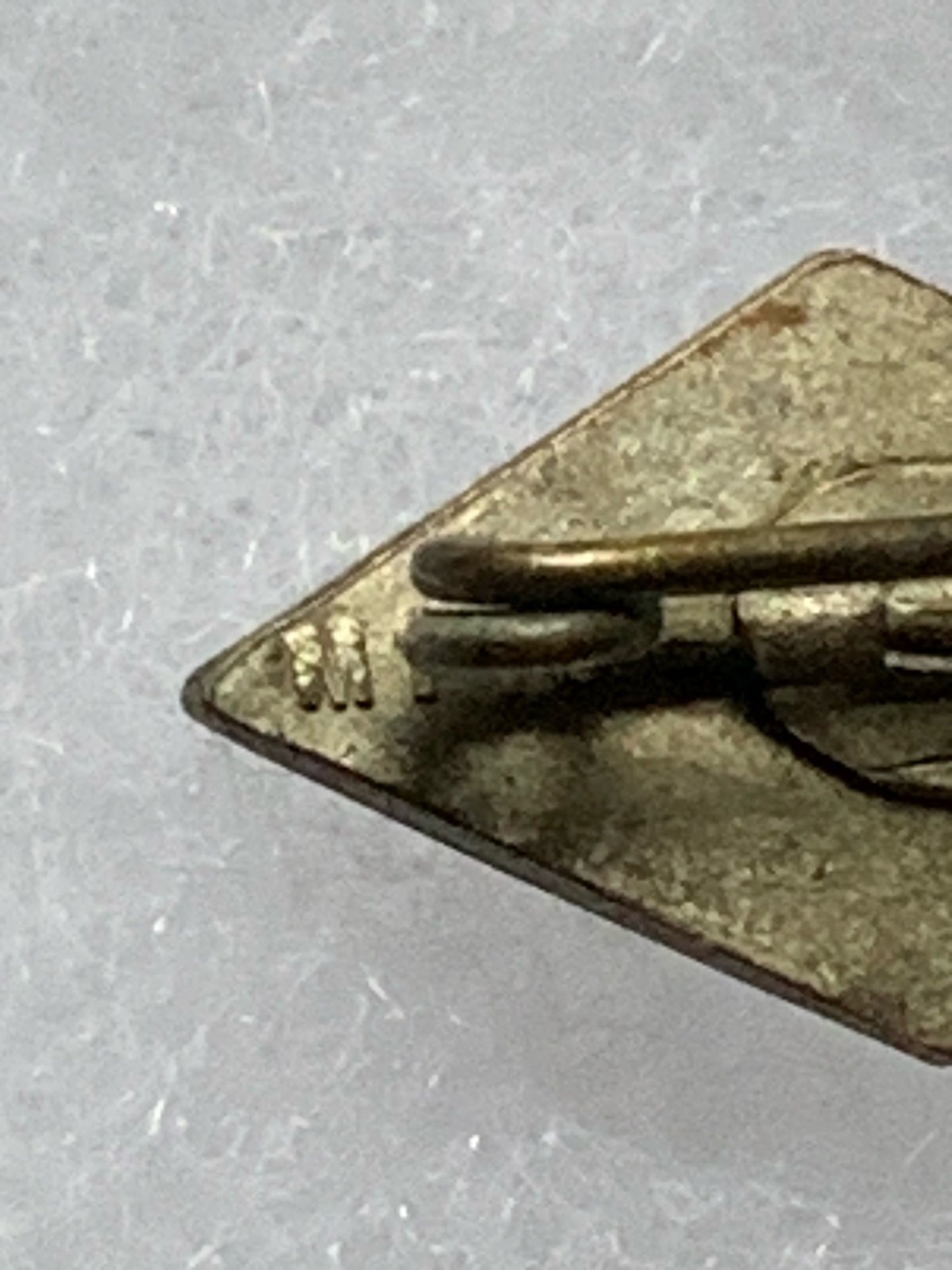 NS - Students Association Badge RZM marked