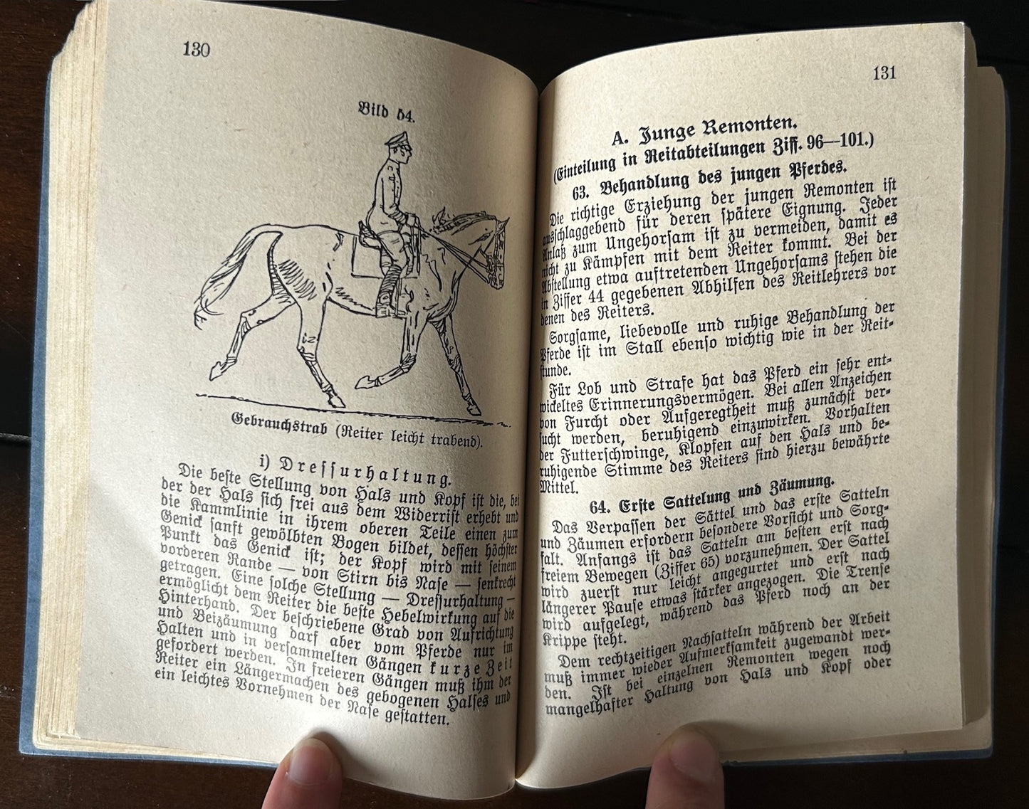 Reitvorschrift military cavalry instruction book 1937
