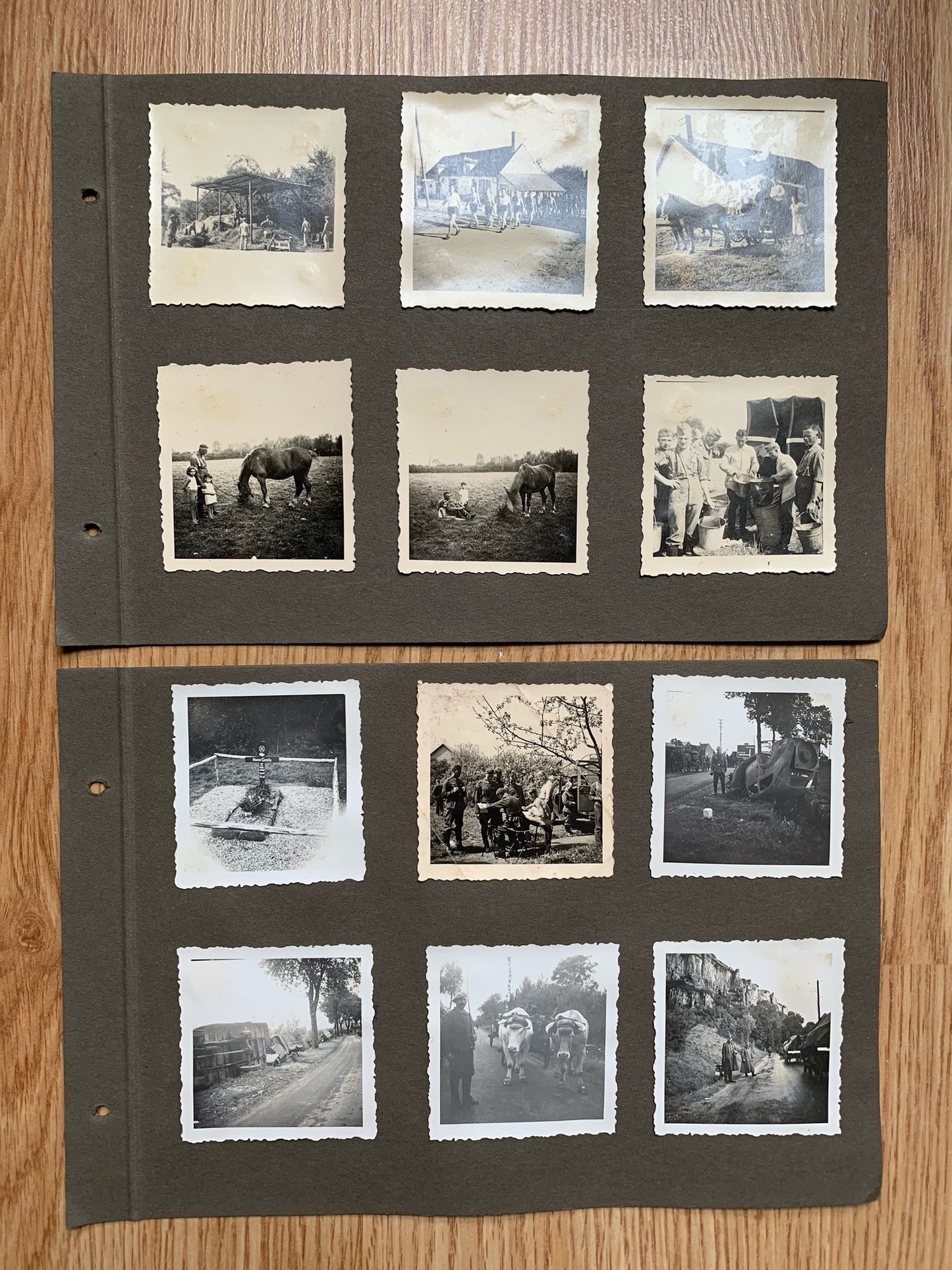 12 Wehrmacht photo album sheets - 116 photos