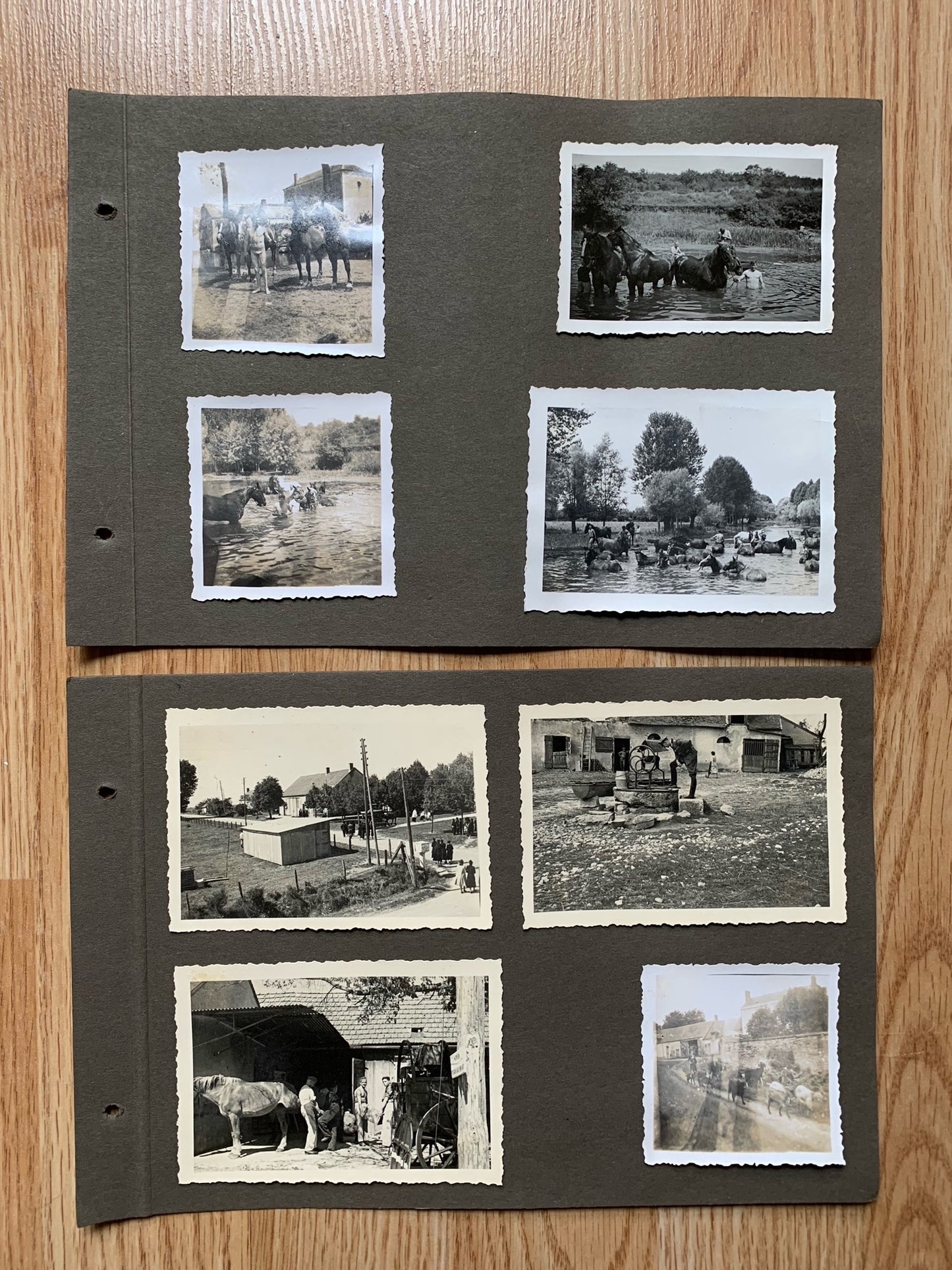 12 Wehrmacht photo album sheets - 116 photos