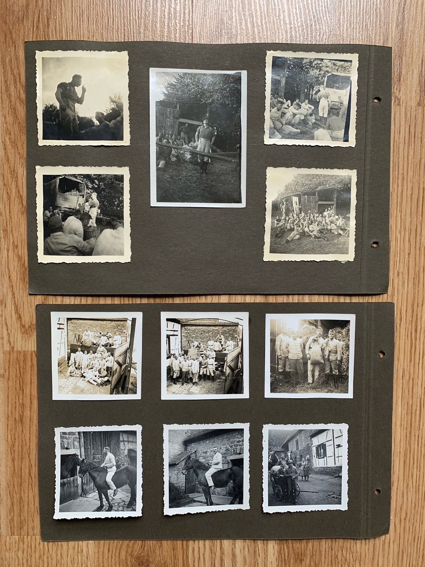 12 Wehrmacht photo album sheets - 116 photos