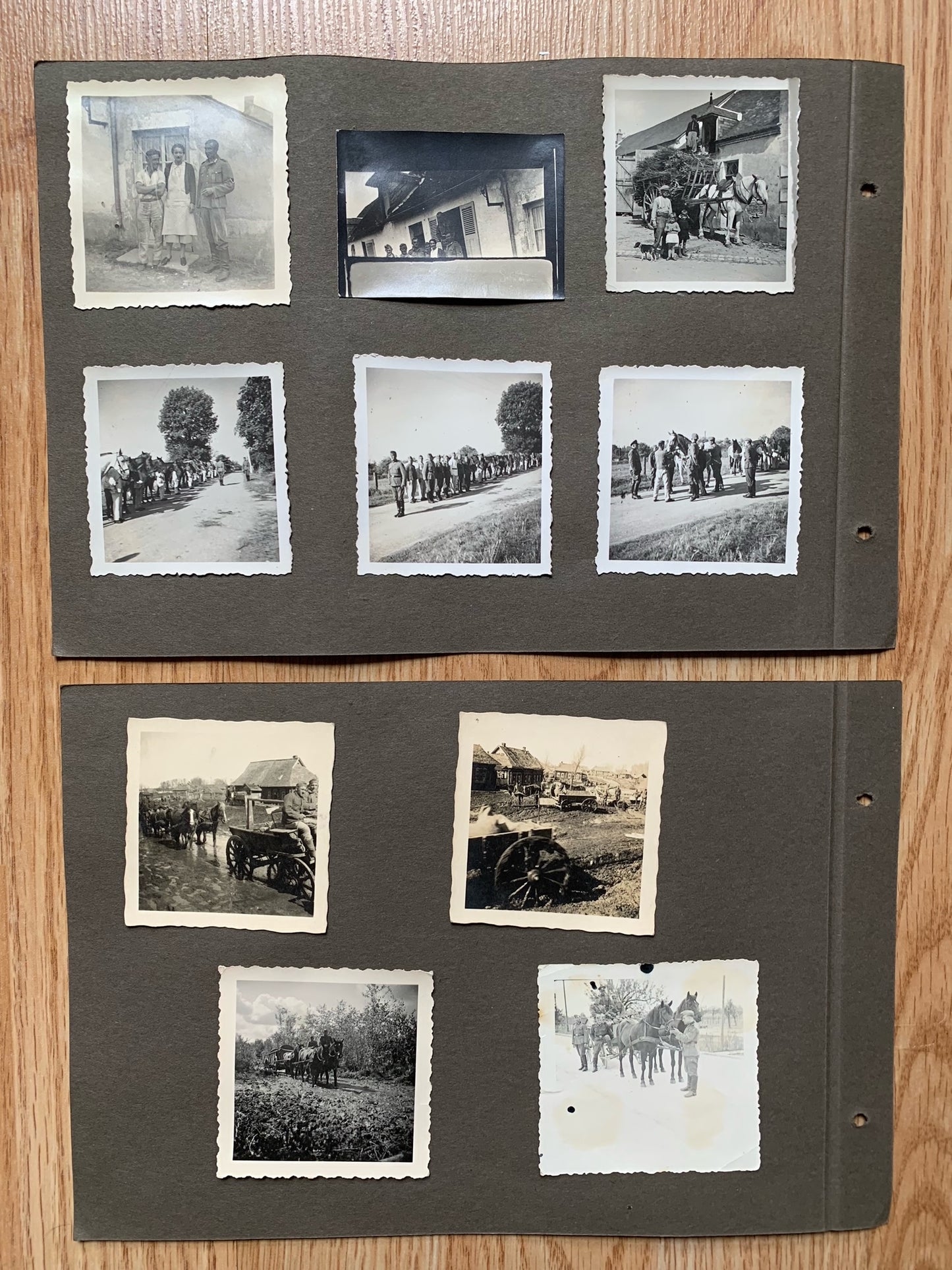 12 Wehrmacht photo album sheets - 116 photos