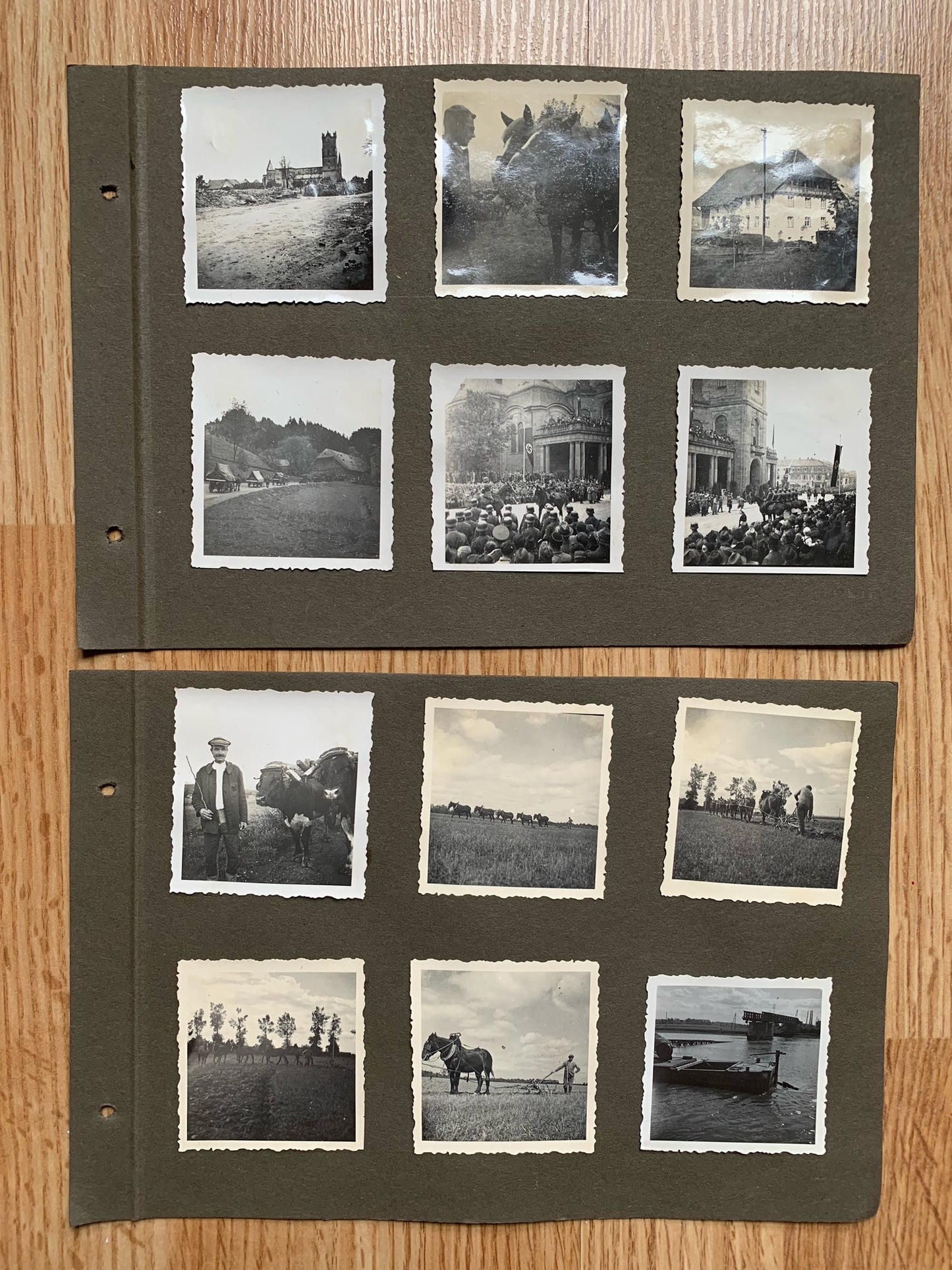 12 Wehrmacht photo album sheets - 116 photos