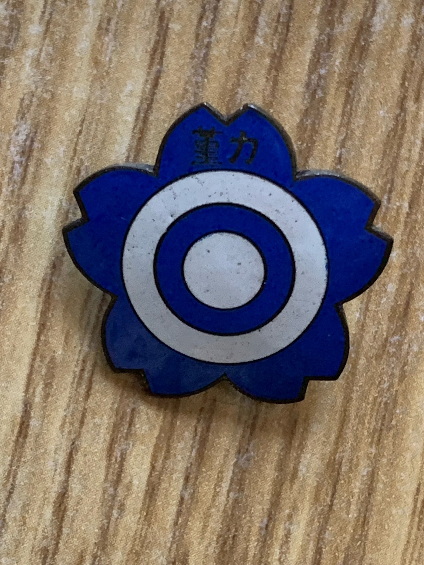 WW2 Japanese Army cased badge