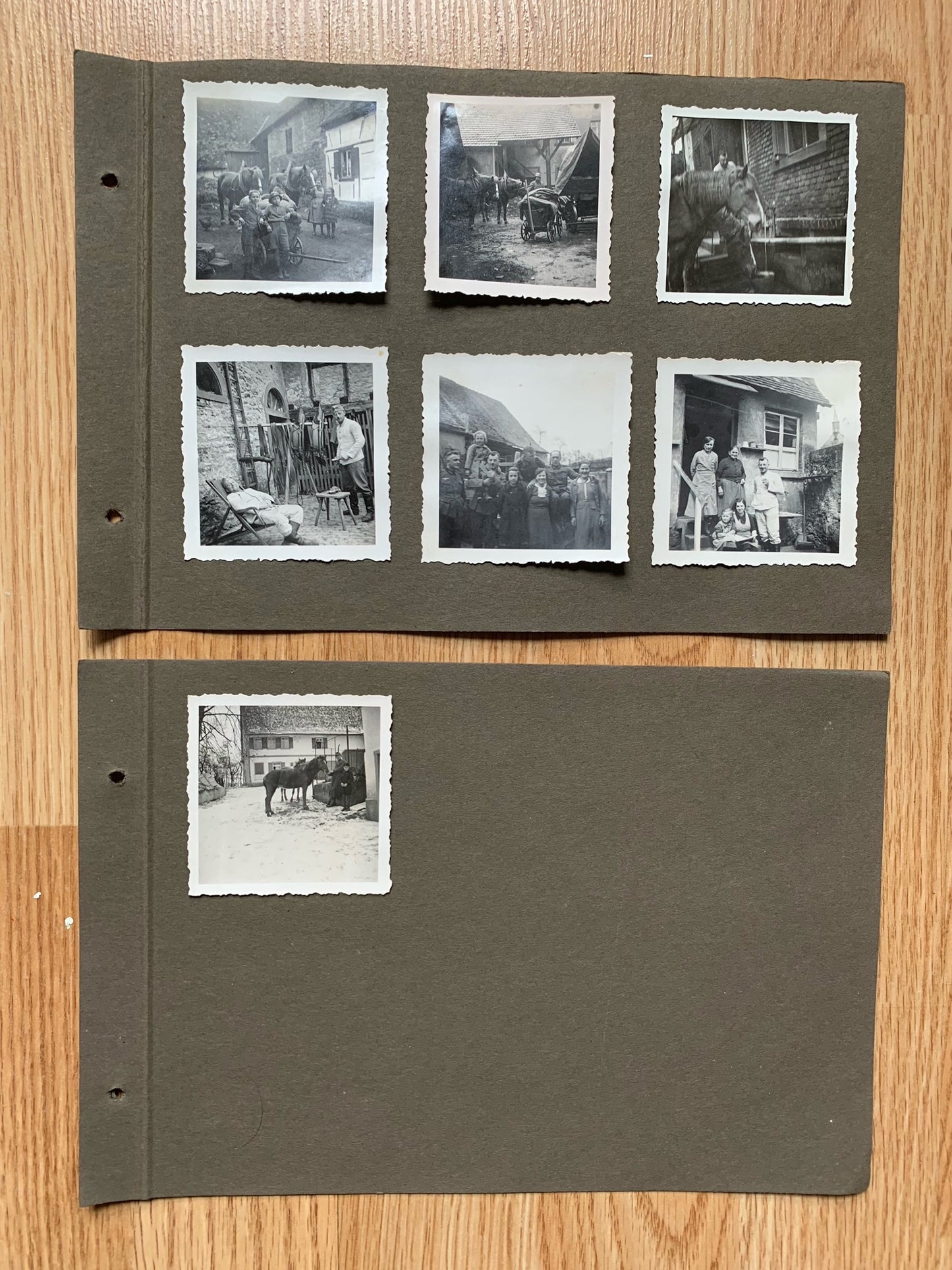 12 Wehrmacht photo album sheets - 116 photos