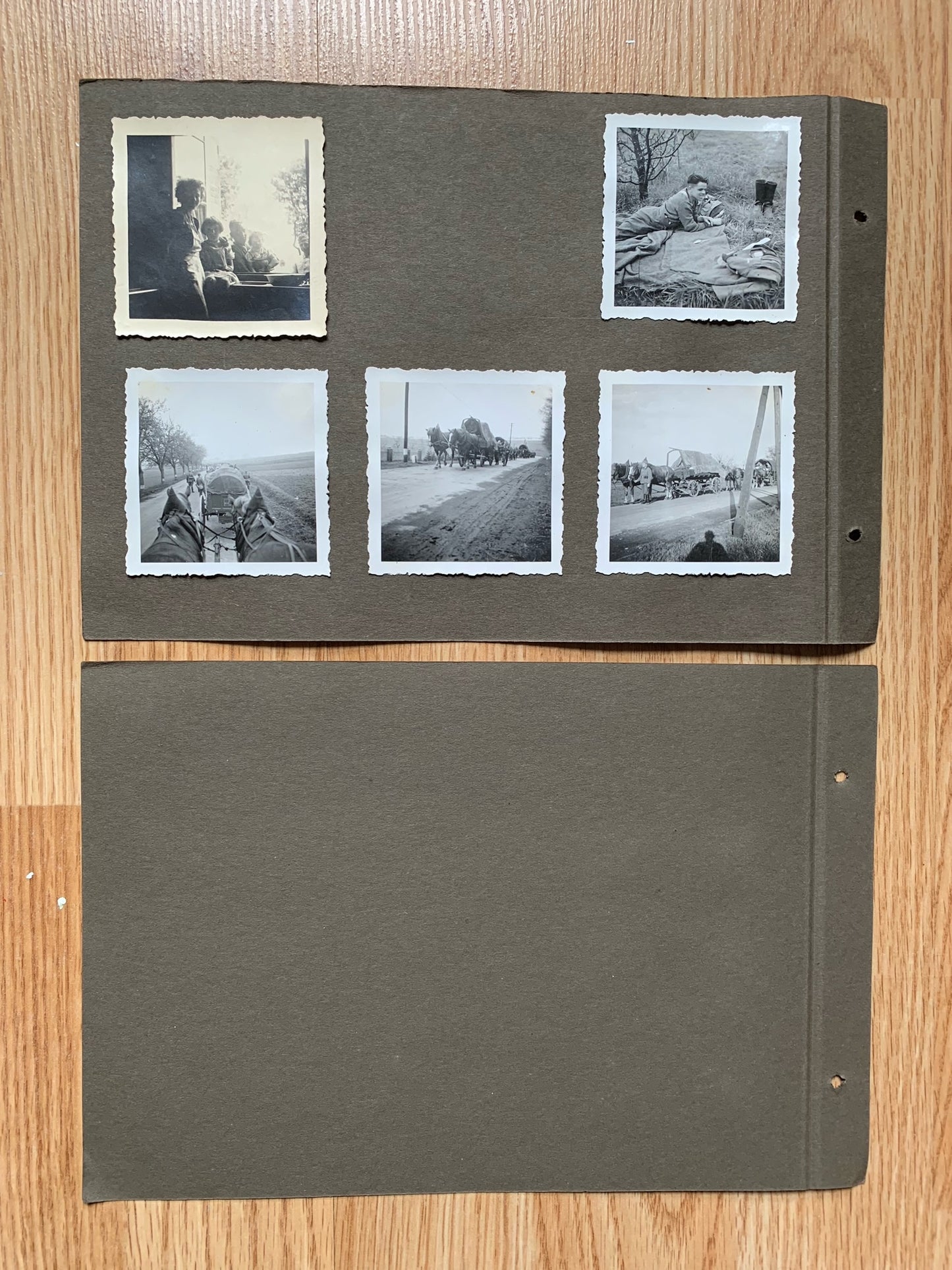 12 Wehrmacht photo album sheets - 116 photos