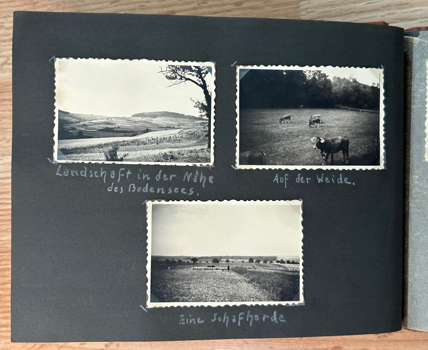 Childhood photo album - Mainz / Saarbrücken resident 1920's / 30's
