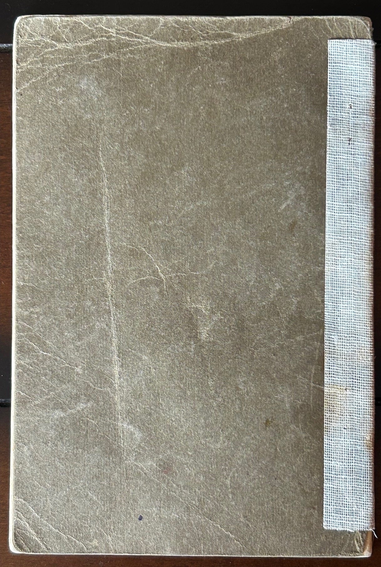 Passport - Mother and 2 children, many entries