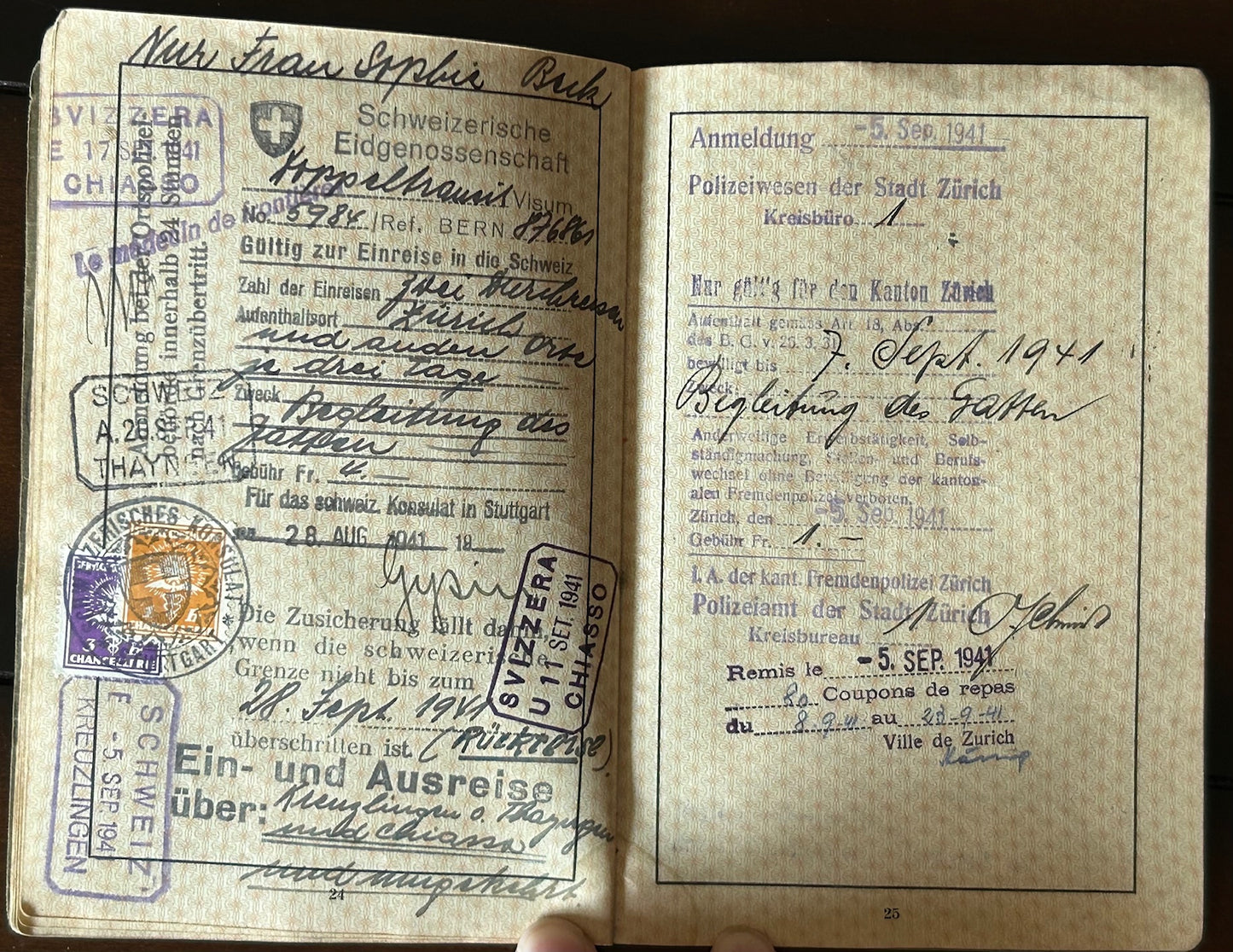 Passport - Mother and 2 children, many entries