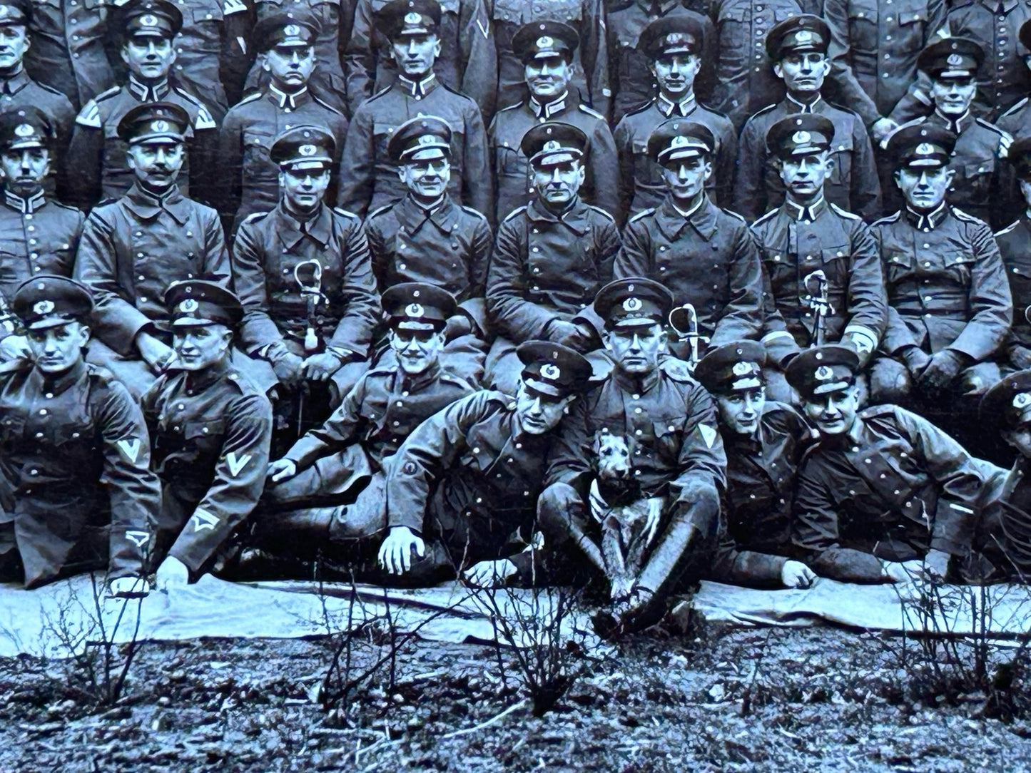 Large Early Third Reich army photo - nice details / insignia