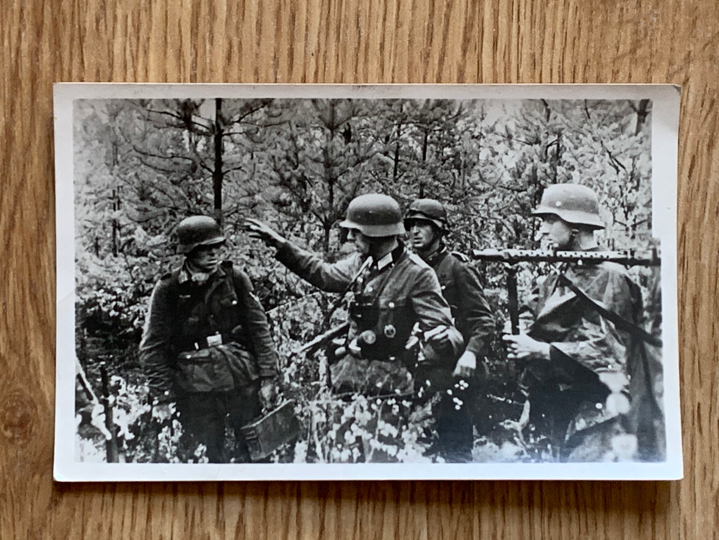 Offiziere im Kampf, combat in the forest - Photo postcard